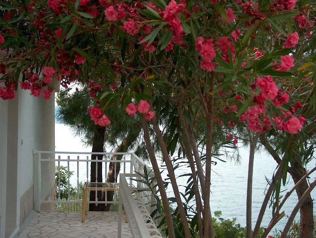 Villa Blanka Donji Okrug  Guest house Donji Okrug (Ciovo)